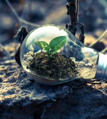 Protección y Defensa del Medioambiente